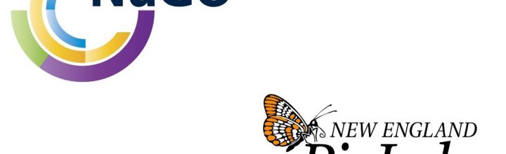 NuGOweek 2018: ECN Annual Social 2018 NuGOweek 2018: ECN Annual Social 2018
